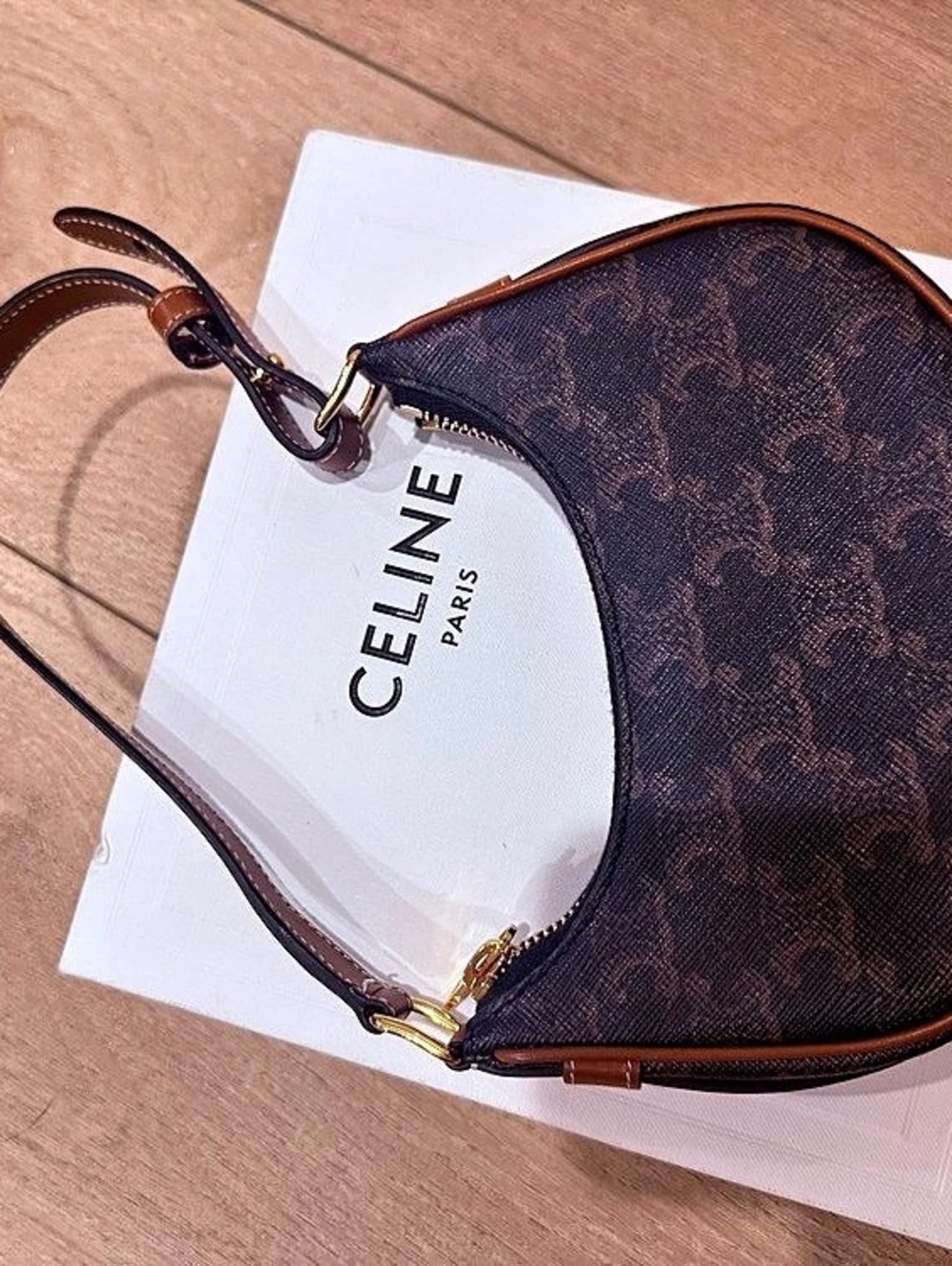 Celine mini Ava Bag in Triomphe Canvas and Calfskin Brown & Black